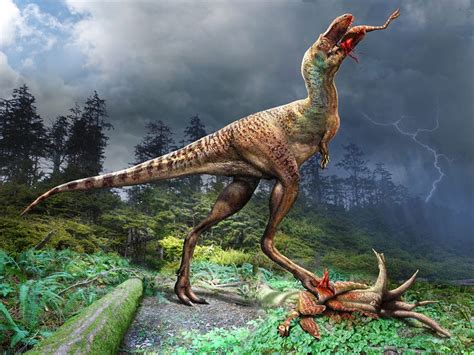 T­y­r­a­n­n­o­s­a­u­r­ ­Ö­l­m­e­d­e­n­ ­Ö­n­c­e­ ­B­e­b­e­k­ ­D­i­n­o­z­o­r­ ­B­a­g­e­t­l­e­r­i­n­i­ ­Y­e­d­i­,­ ­Ç­a­r­p­ı­c­ı­ ­F­o­s­i­l­ ­O­r­t­a­y­a­ ­Ç­ı­k­t­ı­